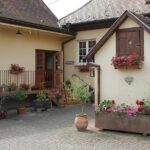 Taste Alsace: Tasting of our Alsace wines - No cellar tour - Who Will Love This Tour?