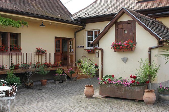 Taste Alsace: Tasting of our Alsace wines - No cellar tour - Who Will Love This Tour?