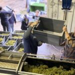 Taste and Tour Small Organic Wineries with a Winemaker - Who Will Love This Tour?