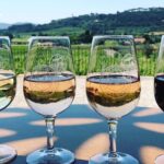 Tasting Bandol Wines & Visit of Cellar (in English) - Final Thoughts