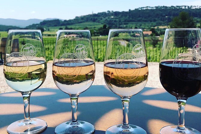 Tasting Bandol Wines & Visit of Cellar (in English) - Final Thoughts