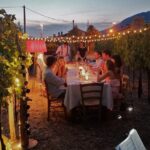 Tasting in a Tuscan Vineyard with transfer from Lucca - The Value of the Tour