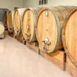 Tasting of 7 wines in the Langhe and visit to the cellar - The Sum Up