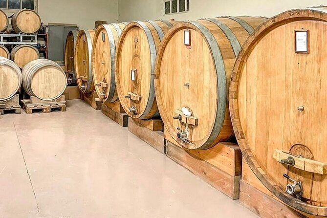 Tasting of 7 wines in the Langhe and visit to the cellar - The Sum Up