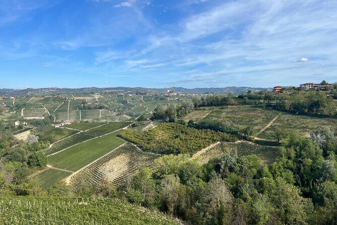 Tasting of Classic Method Sparkling Wines - Final Thoughts