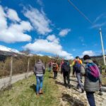 Tasting of Organic Mountain Wines with Vineyard and Cellar Tour - Why This Tour Offers Great Value