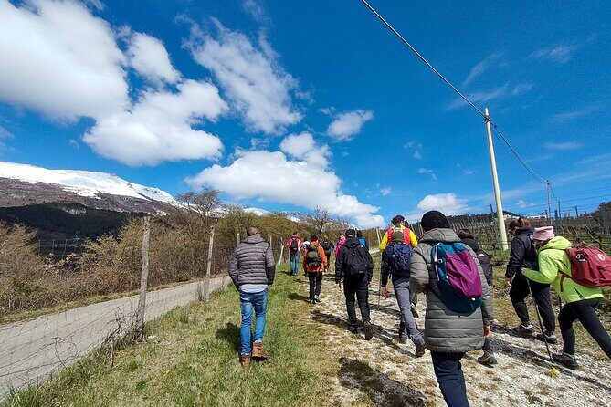 Tasting of Organic Mountain Wines with Vineyard and Cellar Tour - Why This Tour Offers Great Value