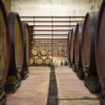 Tasting of Rosso Piceno DOC Superiore - Villa Pigna winery - Authenticity and Expert Guidance: Why It Matters