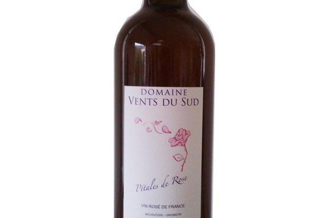 tasting workshop of 6 to 8 wines with charcuterie chocolate cheese - The Sum Up: Who Should Book This Experience?