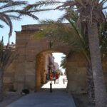 Taxi Boat Santa Pola to Tabarca Island - The Itinerary in Detail