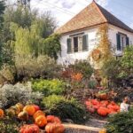 Tbilisi Lakes and Sightseeing tour - Discovering the Lakes and Landmarks of Tbilisi: An In-Depth Review