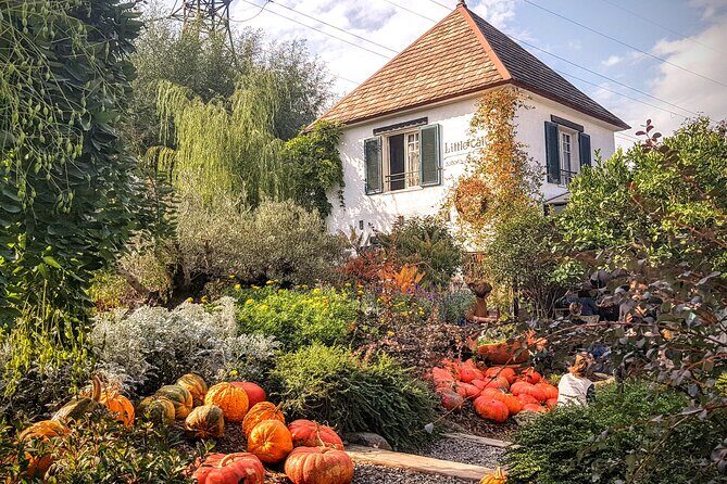 Tbilisi Lakes and Sightseeing tour - Discovering the Lakes and Landmarks of Tbilisi: An In-Depth Review