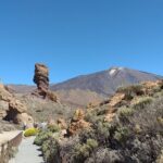 Teide essential Shore Excursion VIP TOUR - Who Should Book This Tour?