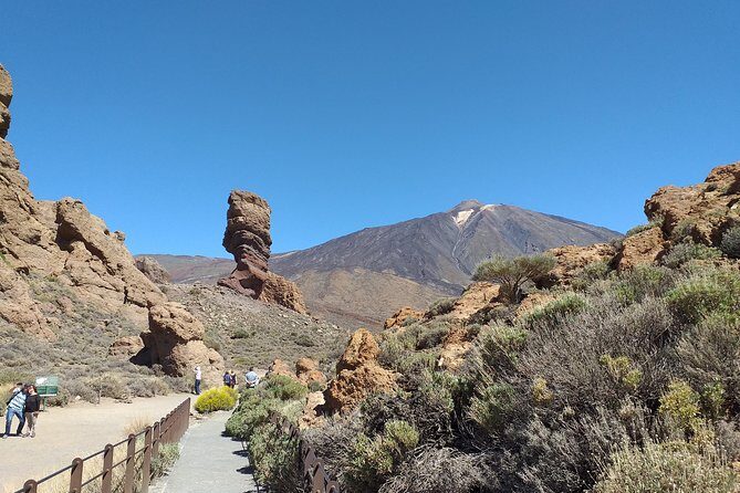 Teide essential Shore Excursion VIP TOUR - Who Should Book This Tour?