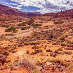 Teide National Park Half Day Tour with Hotel Pick up - FAQ