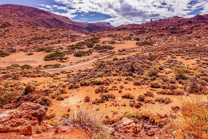 Teide National Park Half Day Tour with Hotel Pick up - FAQ