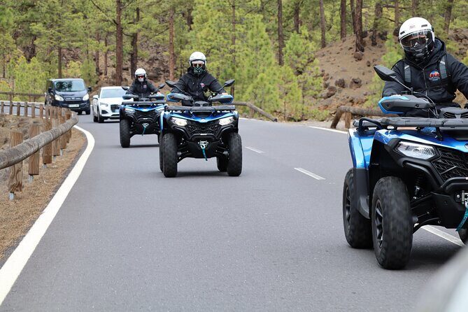 Teide Quad Volcanic Tour Teide National Park - Who Will Love This Experience?
