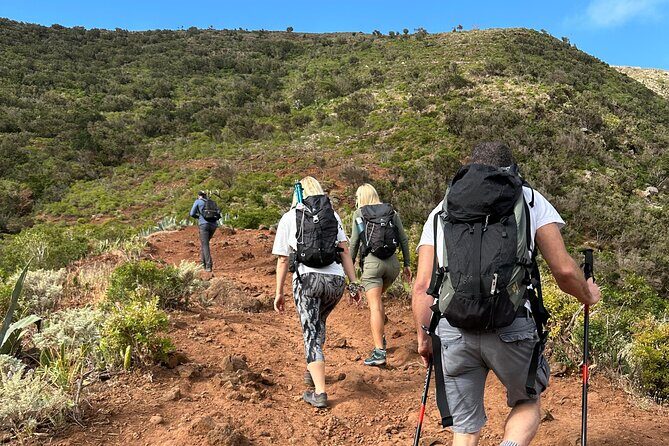 Tenerife: Hiking Tour in Anaga Mountains & Enchanted Forest - The Sum Up