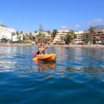 Tenerife: Kayaking and snorkeling, snacks, photos and marine life safari - Practical Tips for Booking & Enjoying Your Tour