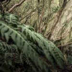 Tenerife Landscape Photography Workshops 10 hours - Why This Experience Is Worth Considering