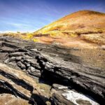 Tenerife South Private Tour: Secrets of the Volcanoes - The Practicalities: What You Should Know Before Booking