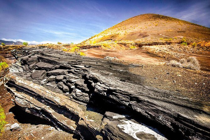 Tenerife South Private Tour: Secrets of the Volcanoes - The Practicalities: What You Should Know Before Booking