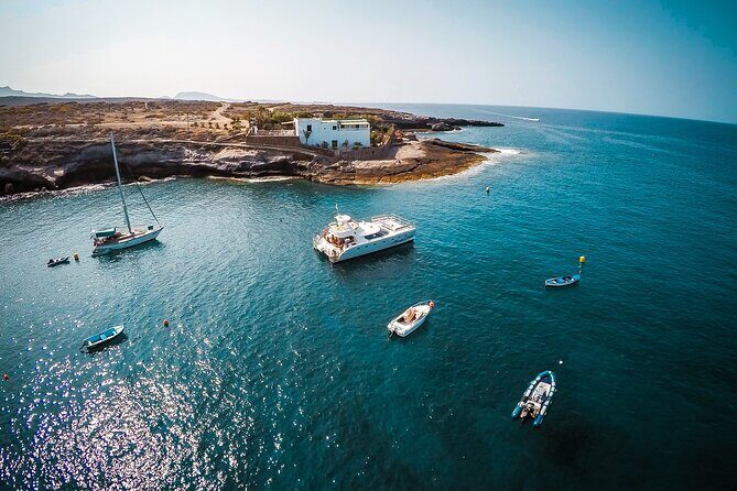 Tenerife Sunset Catamaran tour with transfer - Food and Drinks included. - Practical Tips for Your Trip
