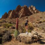 Tenerife Wonder Walk - The Sum Up