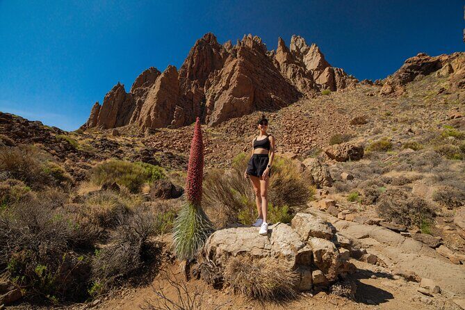 Tenerife Wonder Walk - The Sum Up