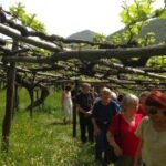 Tenuta San Francesco Wine Tasting - Practical Tips for Visitors