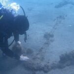 Terceira Azores: Scuba-Double dive Trip(certified Divers) - What to Expect on the Double Dive Trip