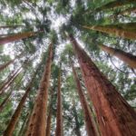 Terceira Island full day tour - FAQs