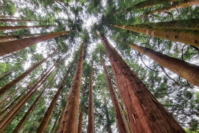 Terceira Island full day tour - FAQs