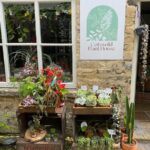 Terrarium Making Experience in Cirencester - Who Would Love This Experience?