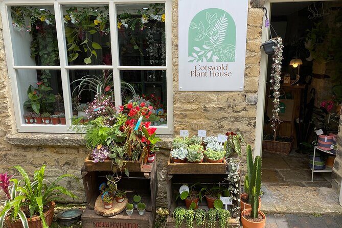 Terrarium Making Experience in Cirencester - Who Would Love This Experience?