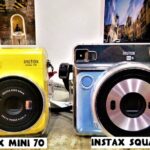 The 17 Fantastic Animals of Siena - Who Will Love This Tour?