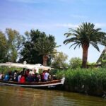 The Albufera Natural Park Private Tour from Valencia with transport - What to Expect Regarding Logistics and Value