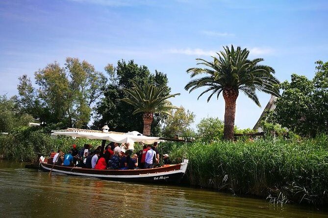The Albufera Natural Park Private Tour from Valencia with transport - What to Expect Regarding Logistics and Value