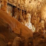 The Bear's Cave - One-Day Air conditioned car Tour from Oradea - Why This Tour Stands Out