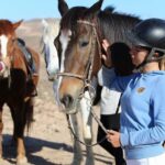 The Best Horse Riding Experience in Gran Canaria (1 hour) - The Sum Up