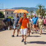 The best of Palma: walking tour, boat trip and Cathedral visit - Practical Tips for Making the Most of This Tour