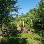 The Biggest Salt Mine in Europe and the Carpathian Authentic Villages - What’s Included and What’s Not