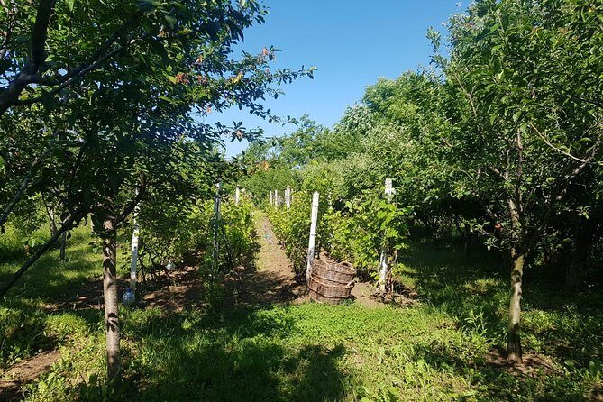 The Biggest Salt Mine in Europe and the Carpathian Authentic Villages - What’s Included and What’s Not