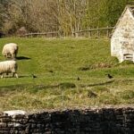 The Charming Cotswolds Private Black Taxi Tour from London - Who Is This Tour Best For?