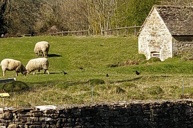 The Charming Cotswolds Private Black Taxi Tour from London - Who Is This Tour Best For?