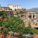 The Godfather Tour Savoca Forza Agro and Villa Corleone - Practical considerations