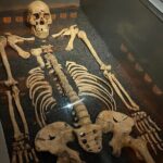 The Great Plague & Black Death Tour of London - Practical Details