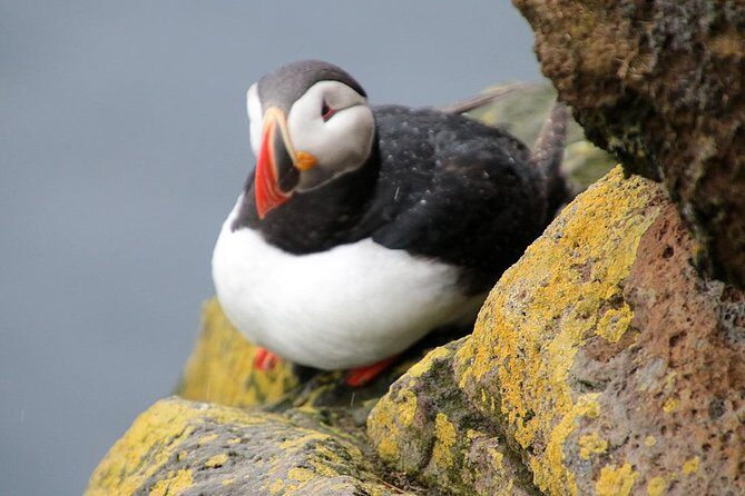 The Great Round Tour: Around Iceland in 13 Days - Who Is This Tour Best Suited For?