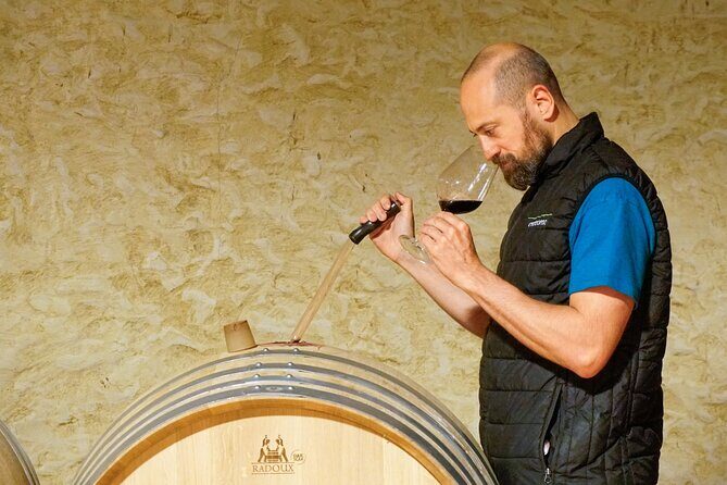 The history of Amarone: tour and vertical tasting of 3 decades - The Tasting Experience: Flavors Across Three Decades