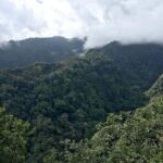 The King's Levada - Levada do Rei - Who Will Love This Tour?